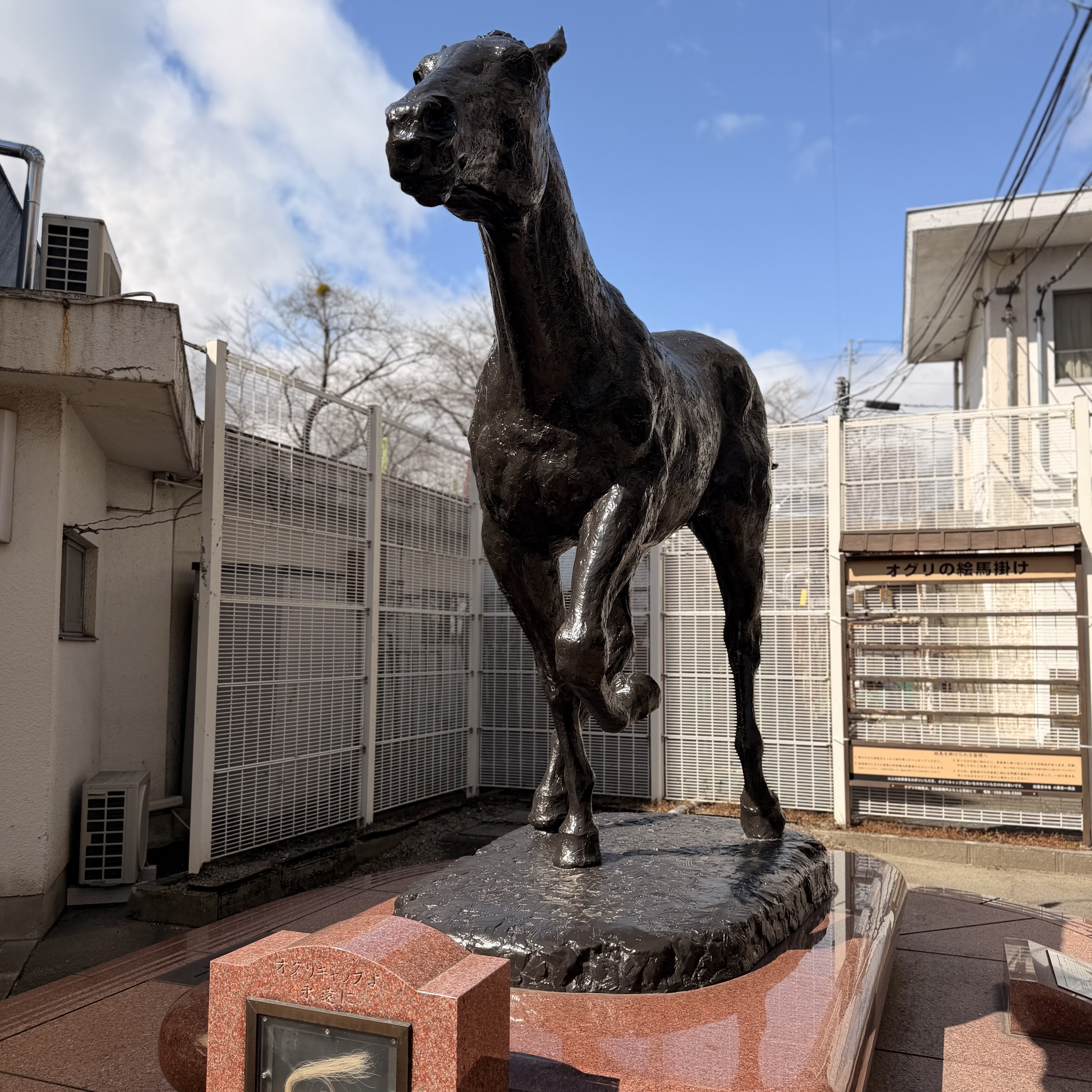 Horses